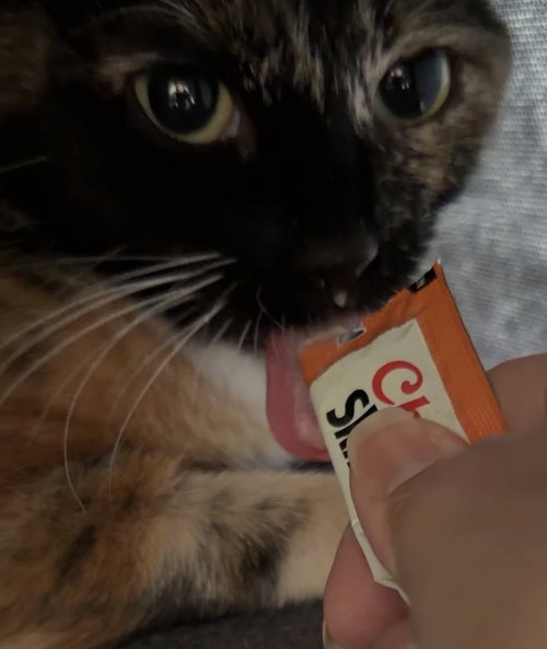 Wilma