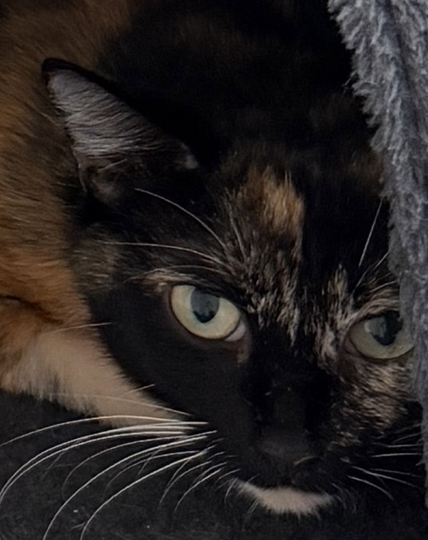 Wilma