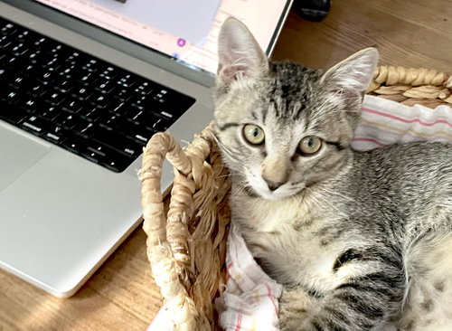 Percival