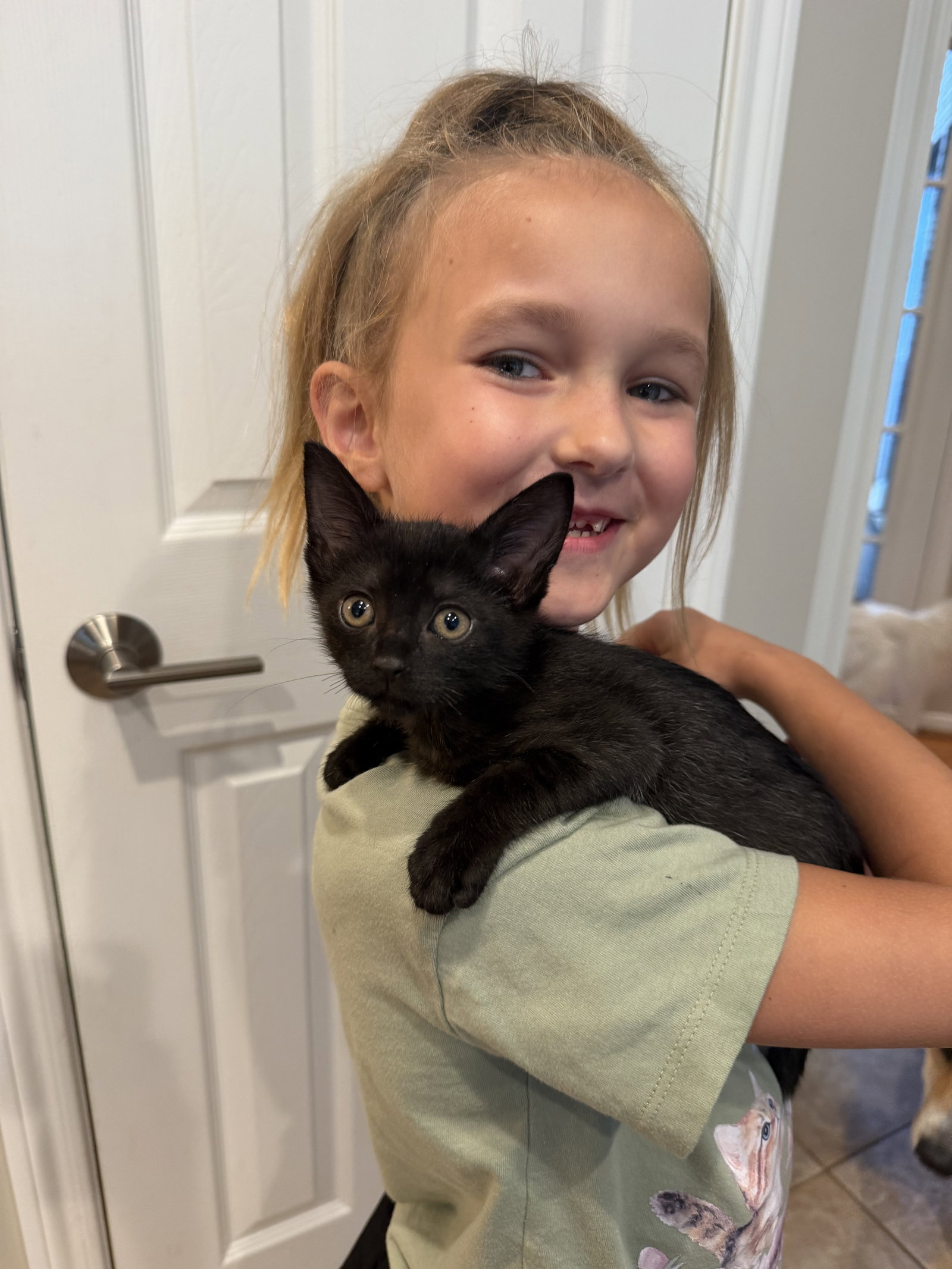 Olivia, photo 14