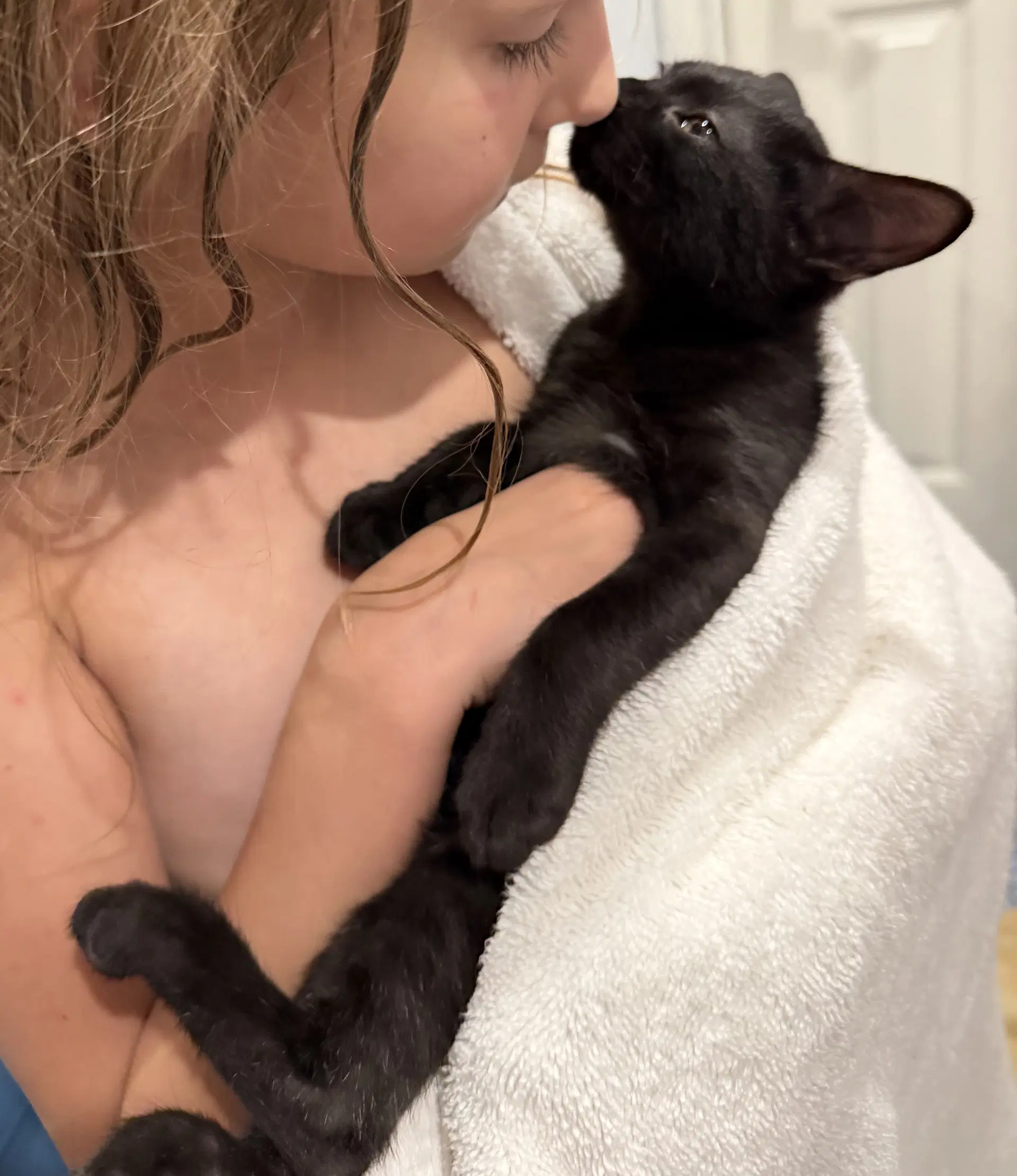 Olivia image 3