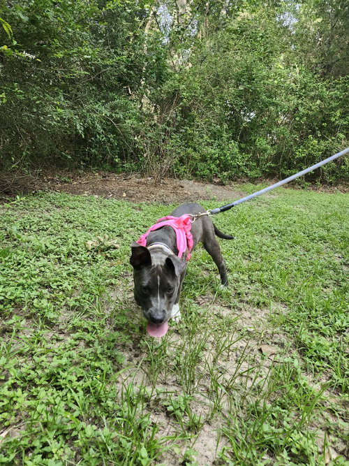 Luna photo 2