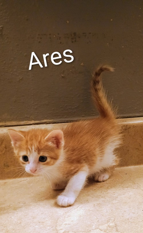 Ares