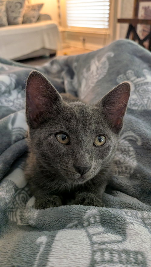 Jasper photo 2