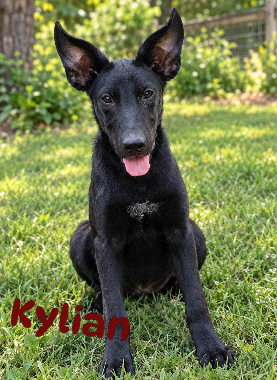 Kylian