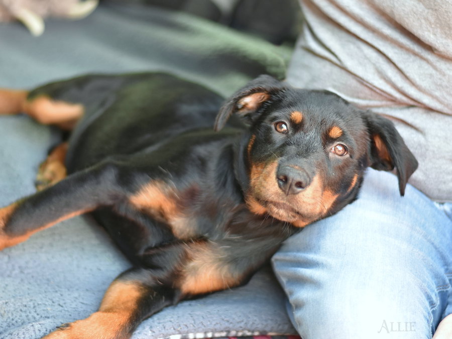 Allie Mae