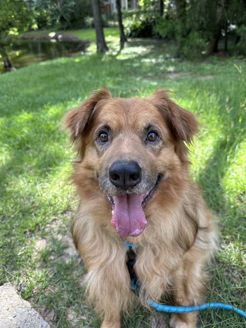 Charlie photo 2