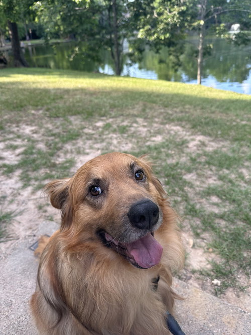 Charlie photo 3