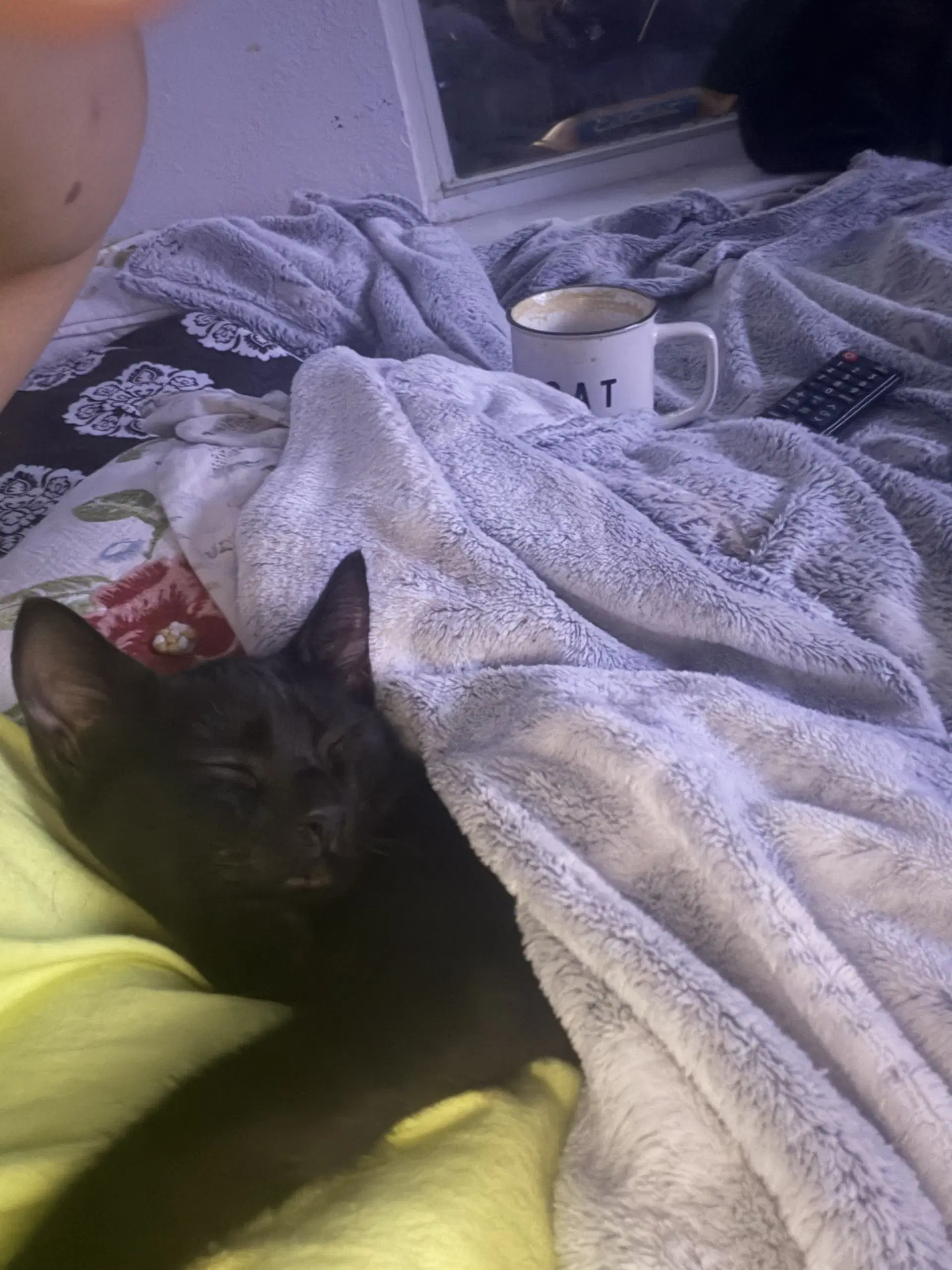 Suki image 2