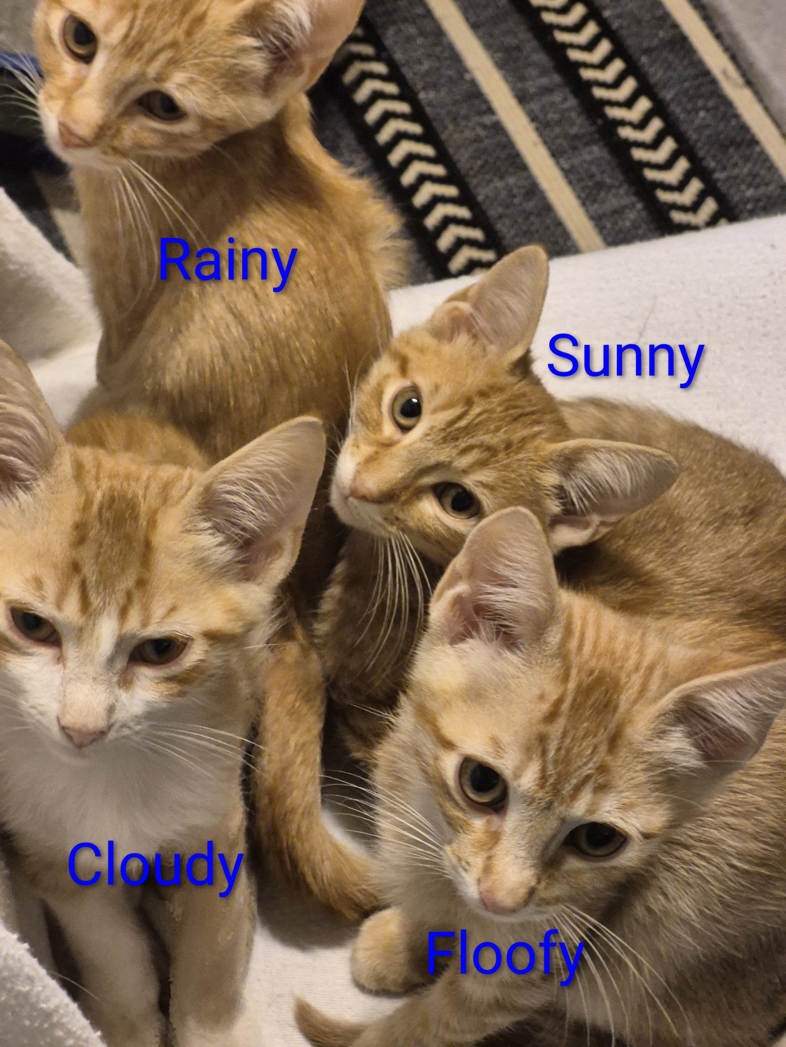 Cloudy, photo 3