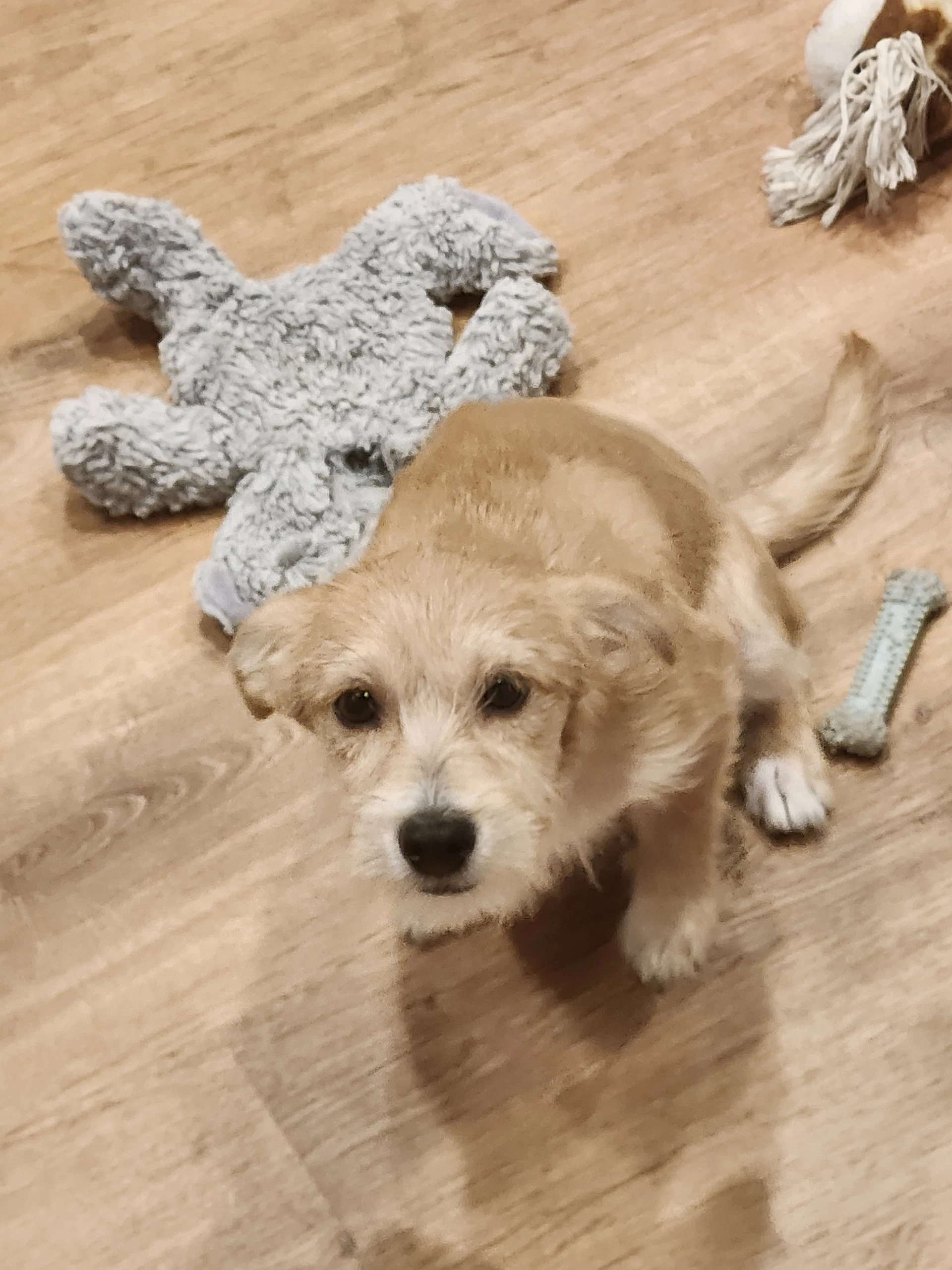 Charlie