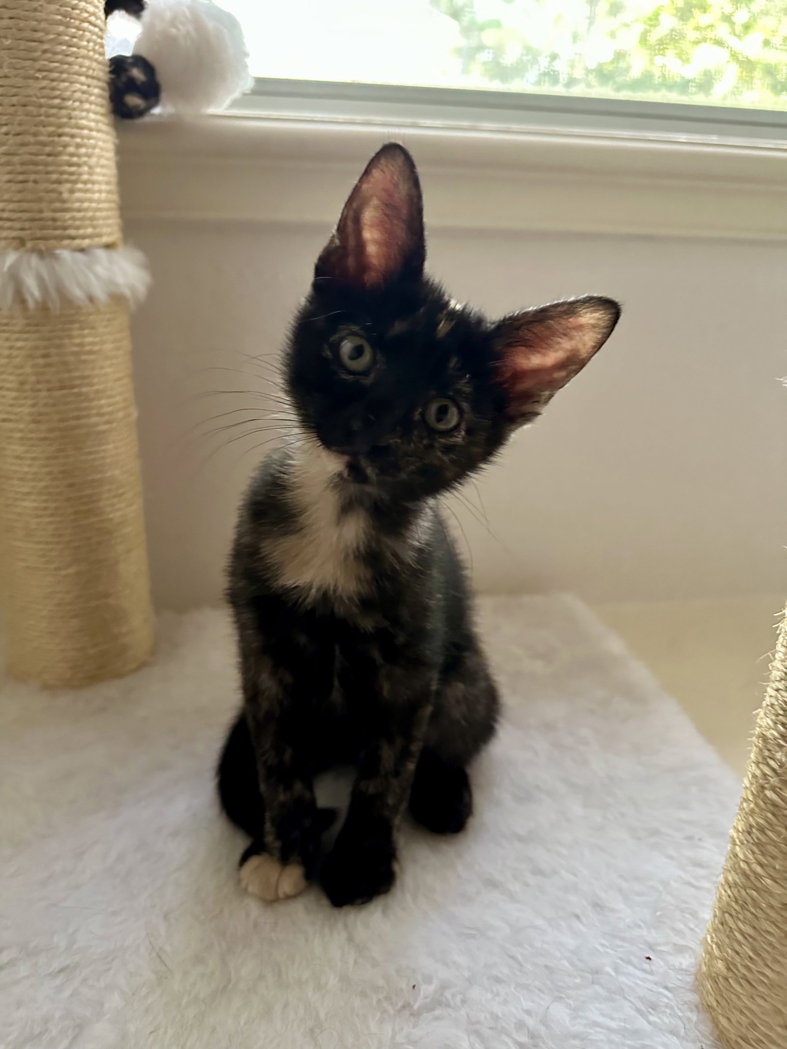 Midnight