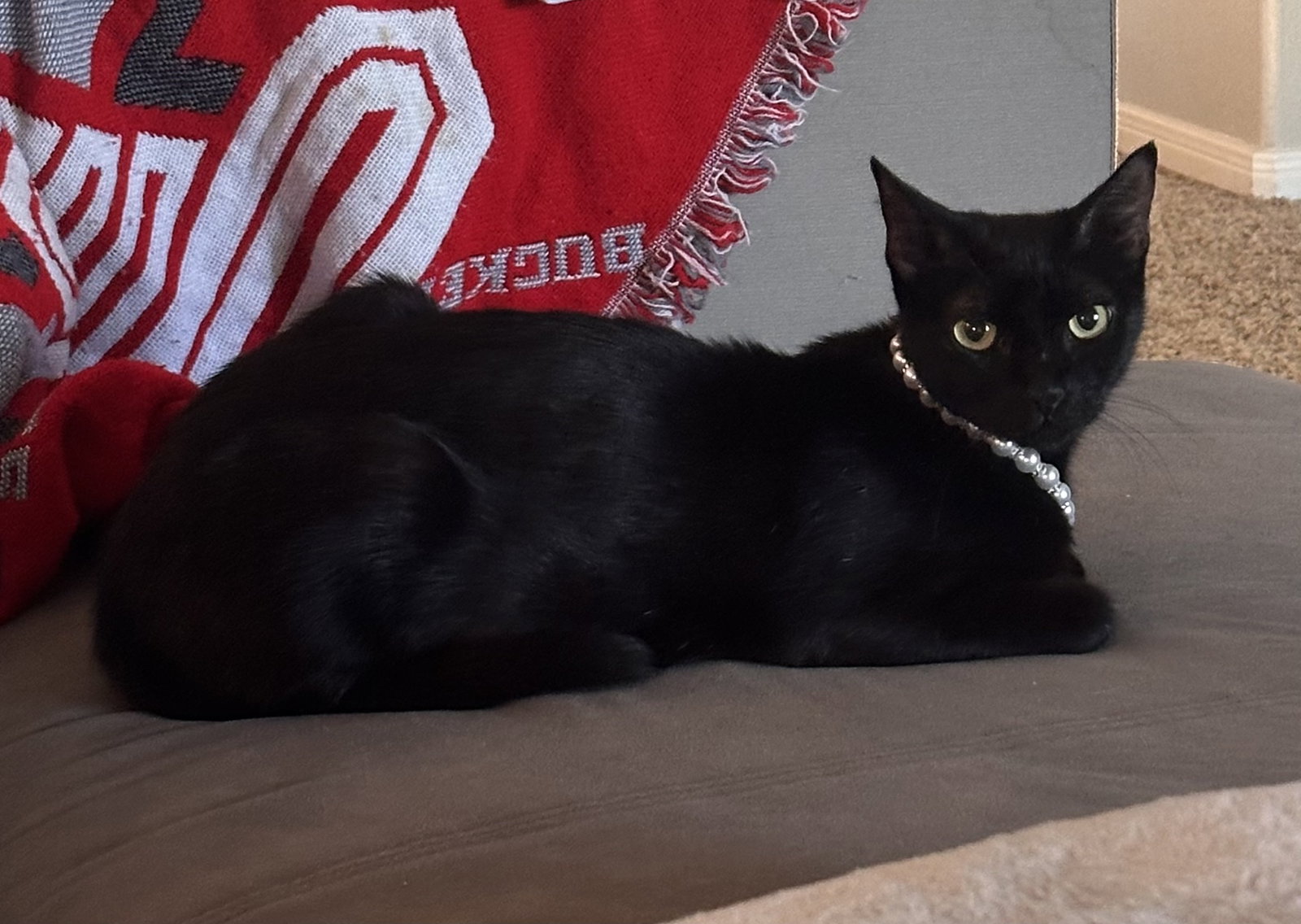 Tira, photo 2