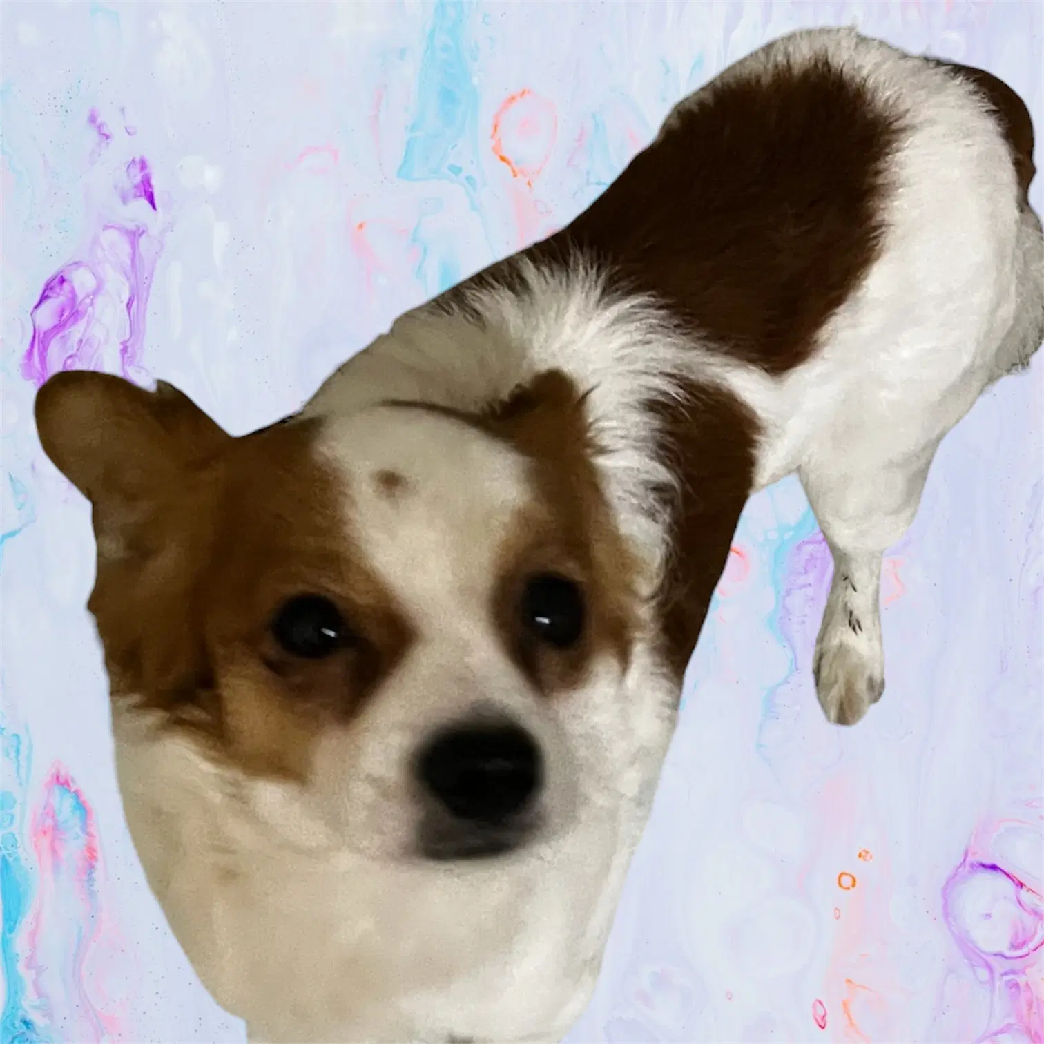 Xaden image 2