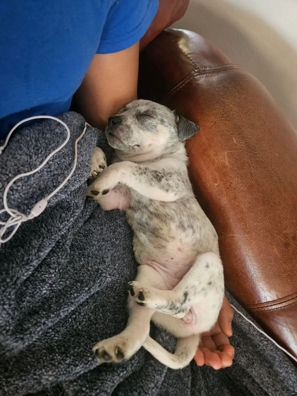 Peggy image 1