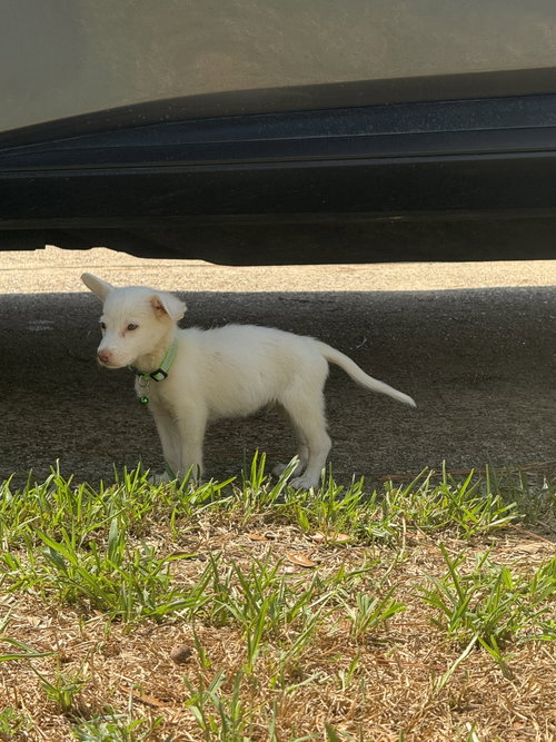 Photo 2 of Pablo