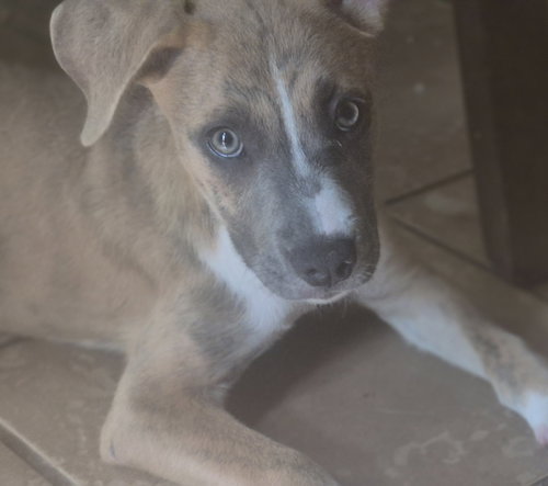 Photo 2 of Riley