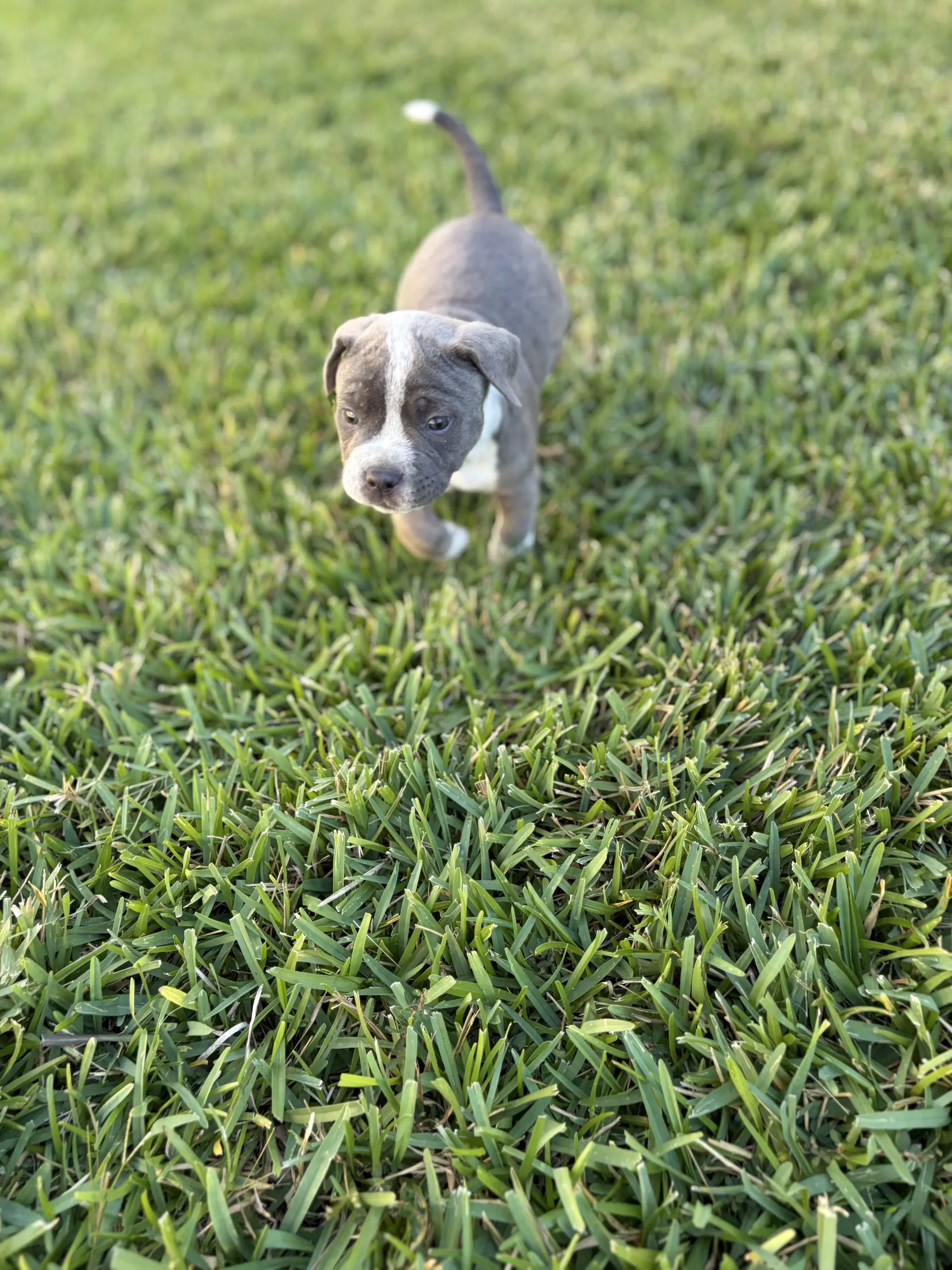 Landon image 3