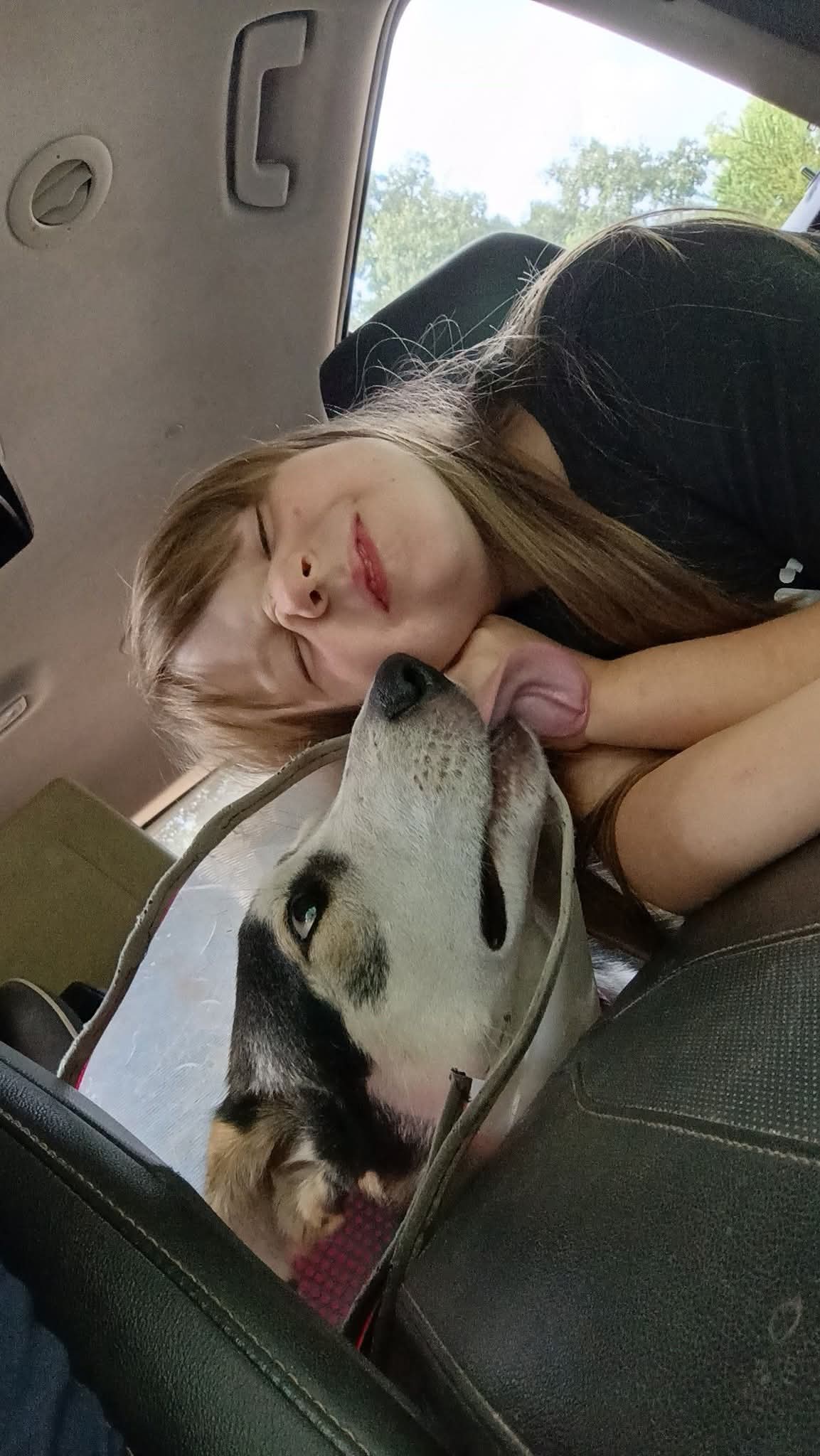 Hank, Husky