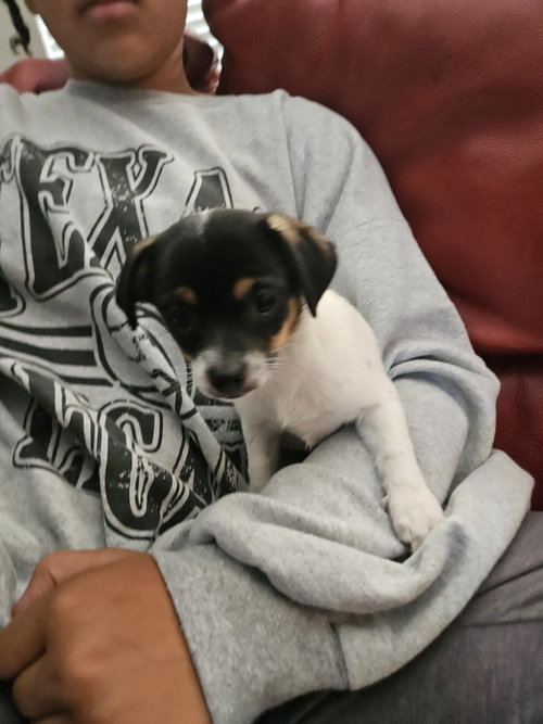 Photo 3 of Violet
