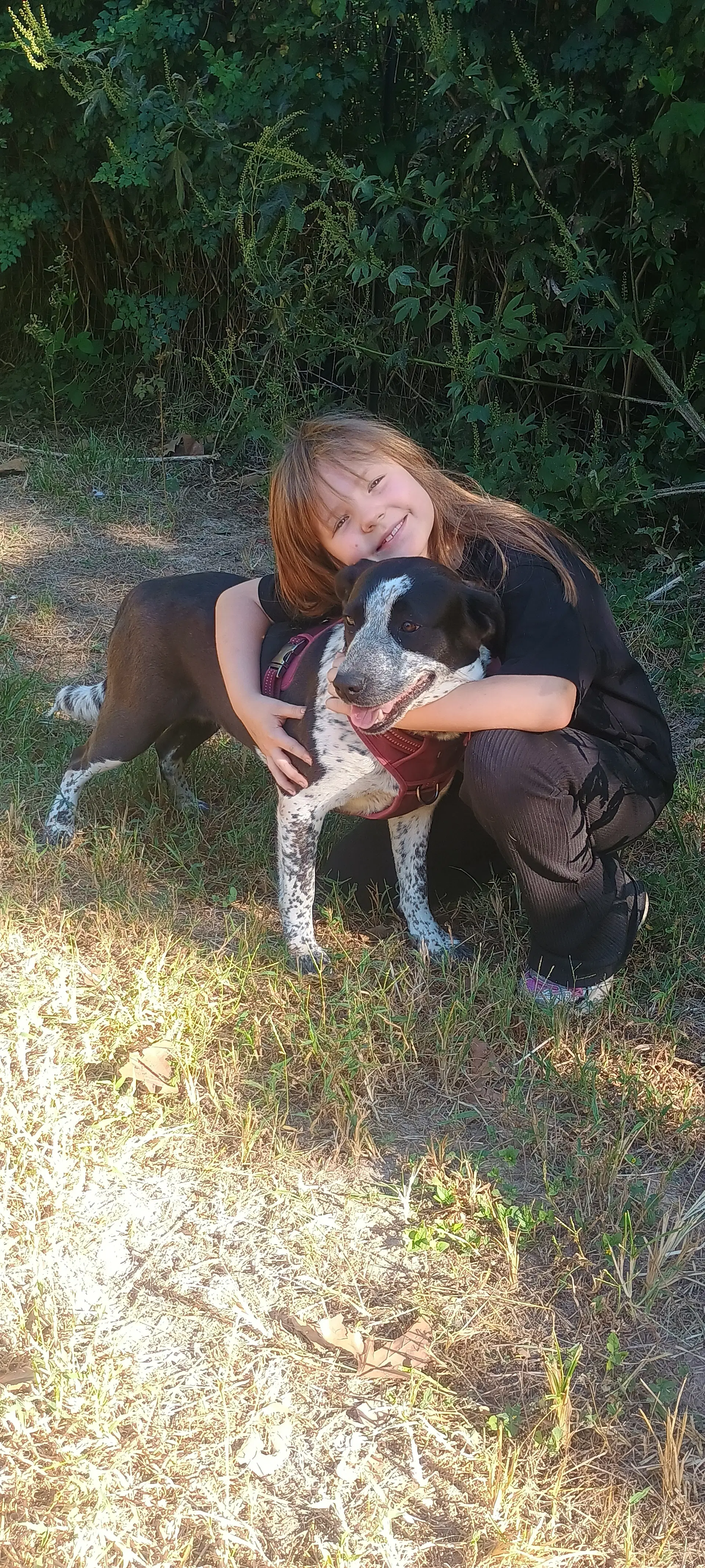 Miss Molly image 2