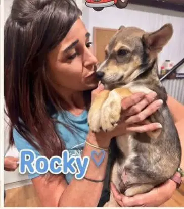 Rocky - Unknown