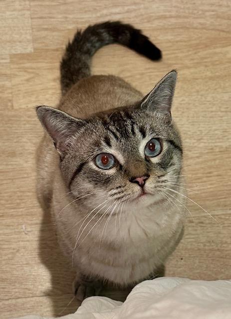Samson