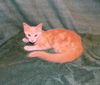 Tangerine