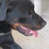 Keiser