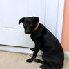 Lola