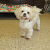 Zeek