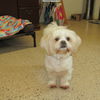 Zeek