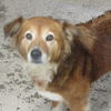 Kaylee