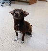 Mars aka Hershey