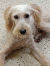 Edie