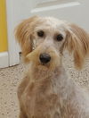 Edie
