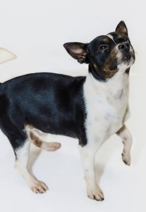 Photo 2 of Prue