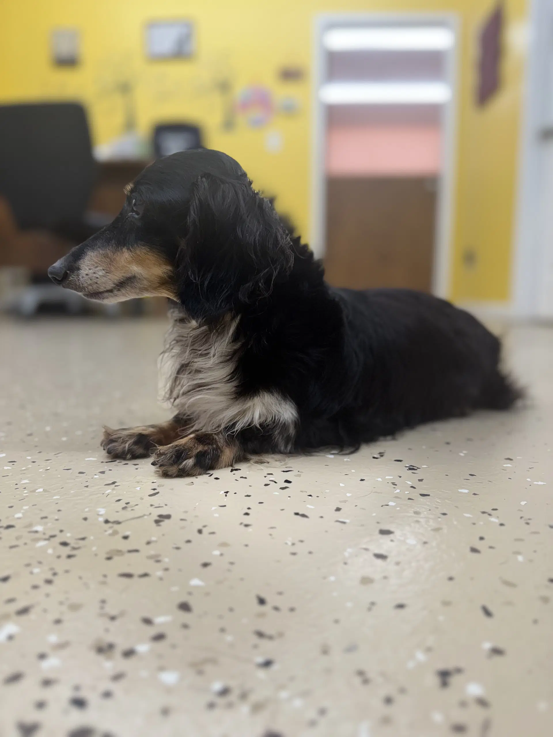 Zoey image 2