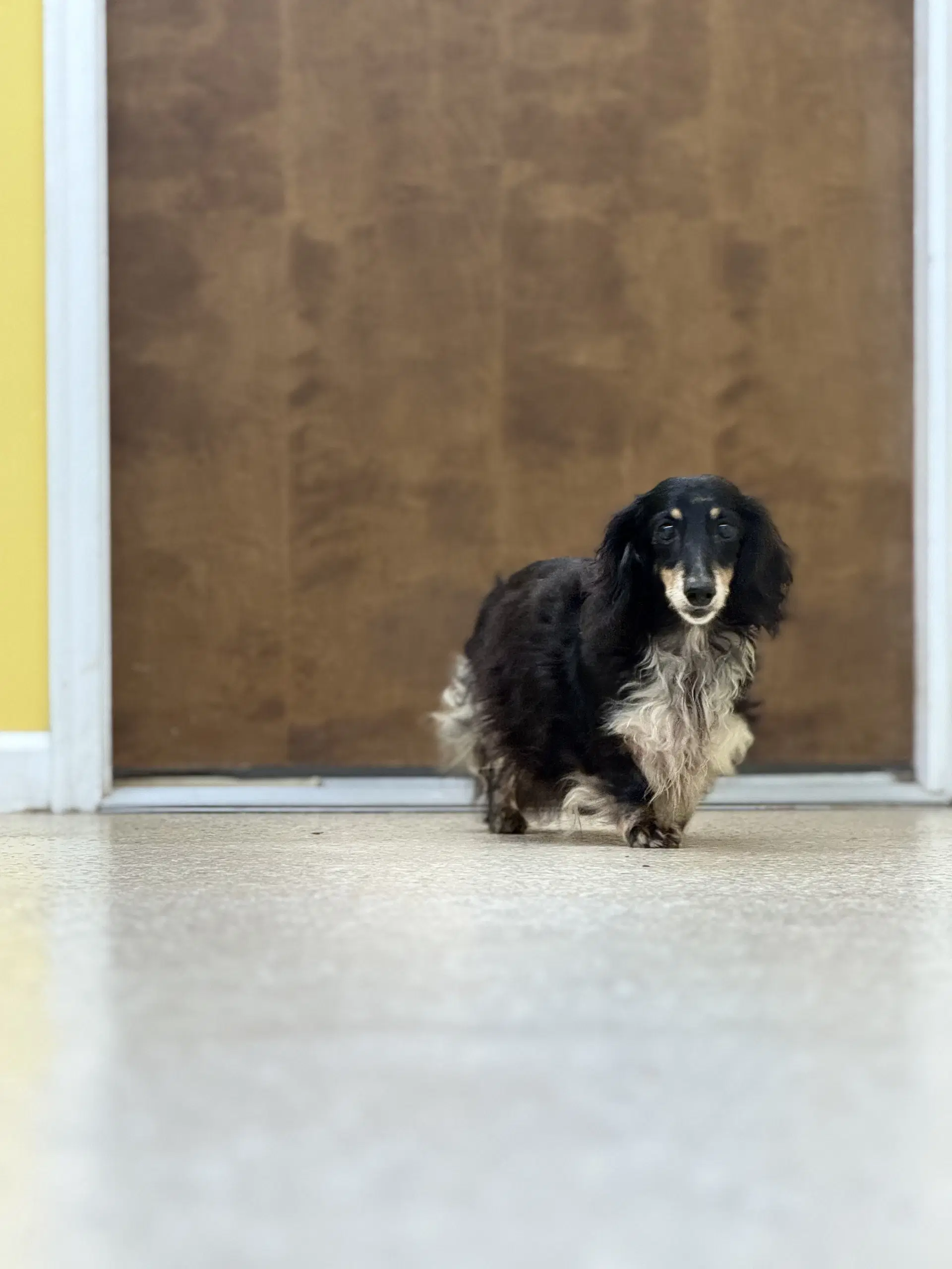 Zoey image 3