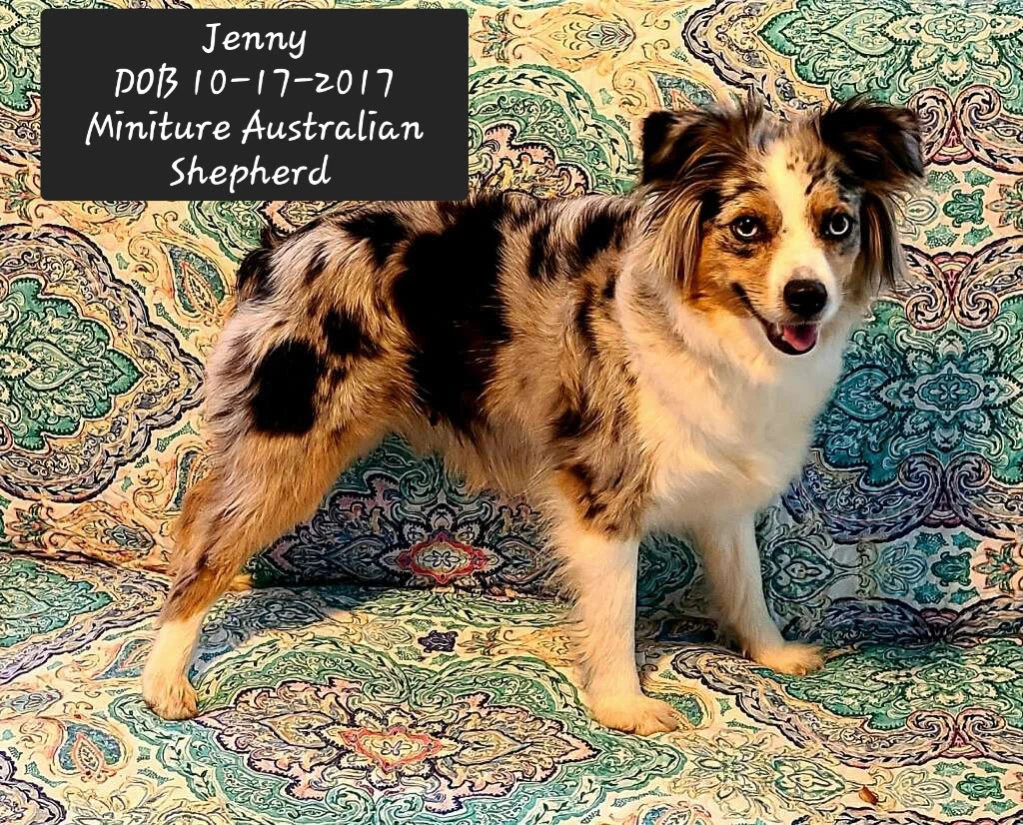 Jenny
