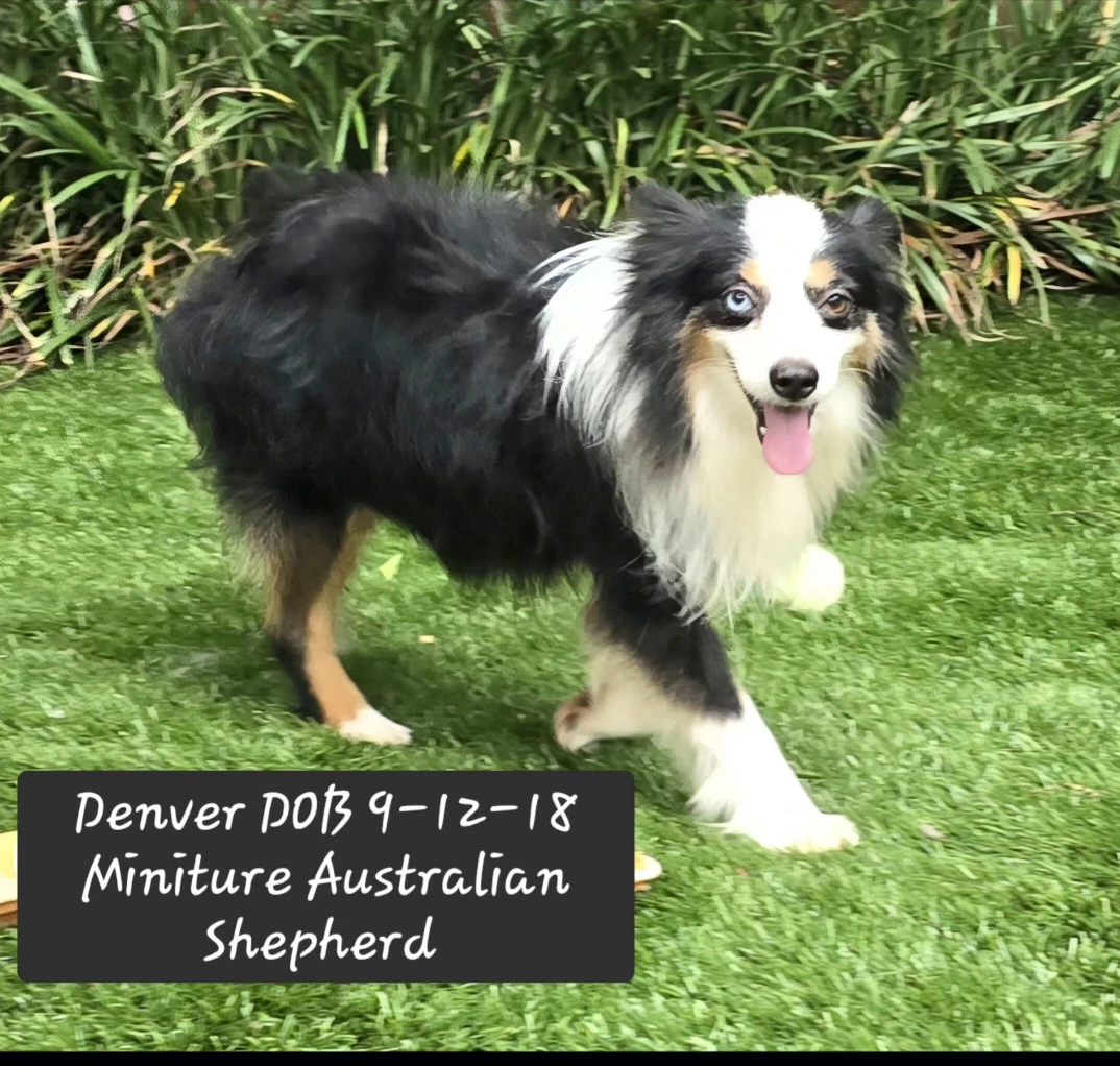 Denver