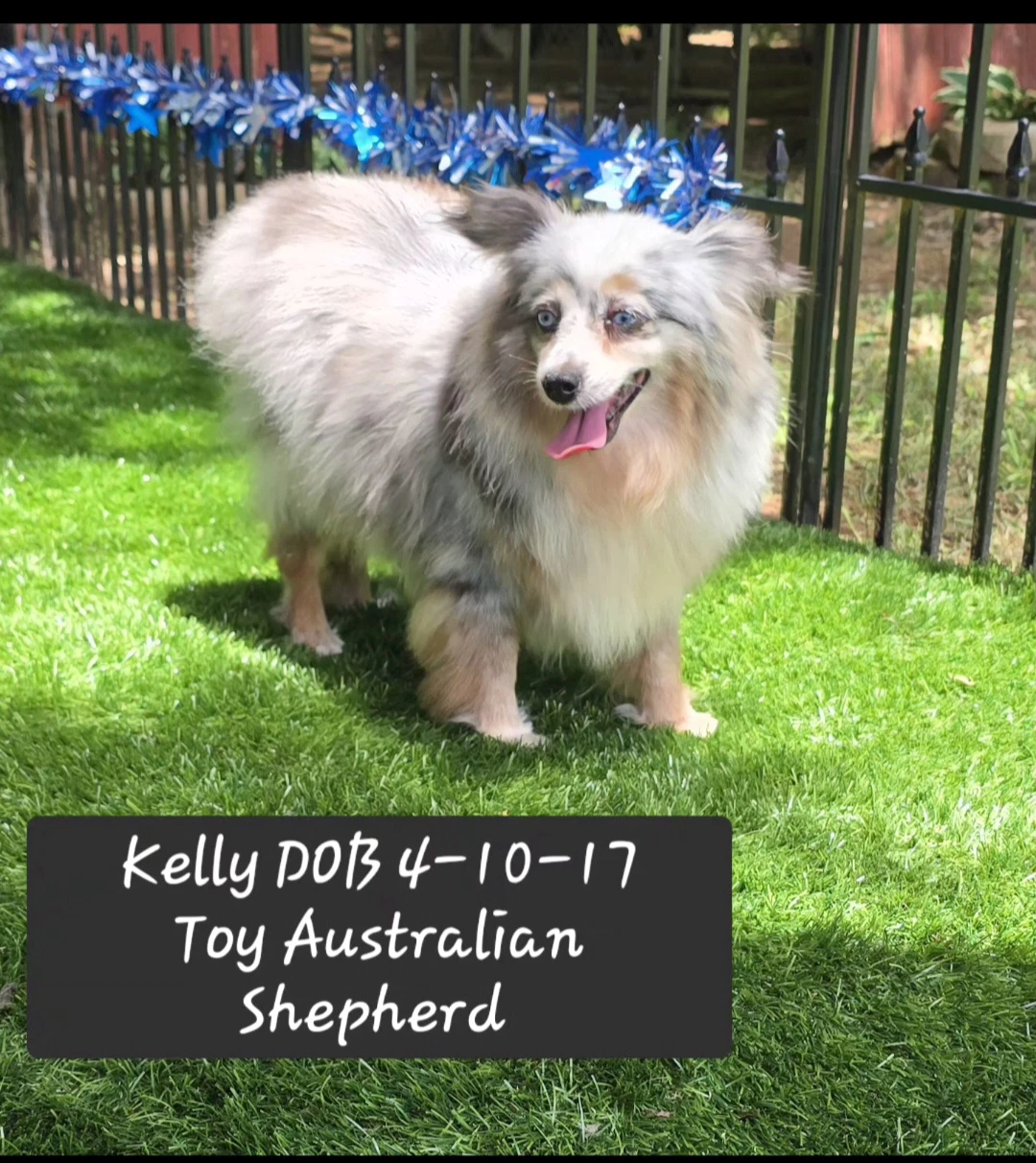 Kelly