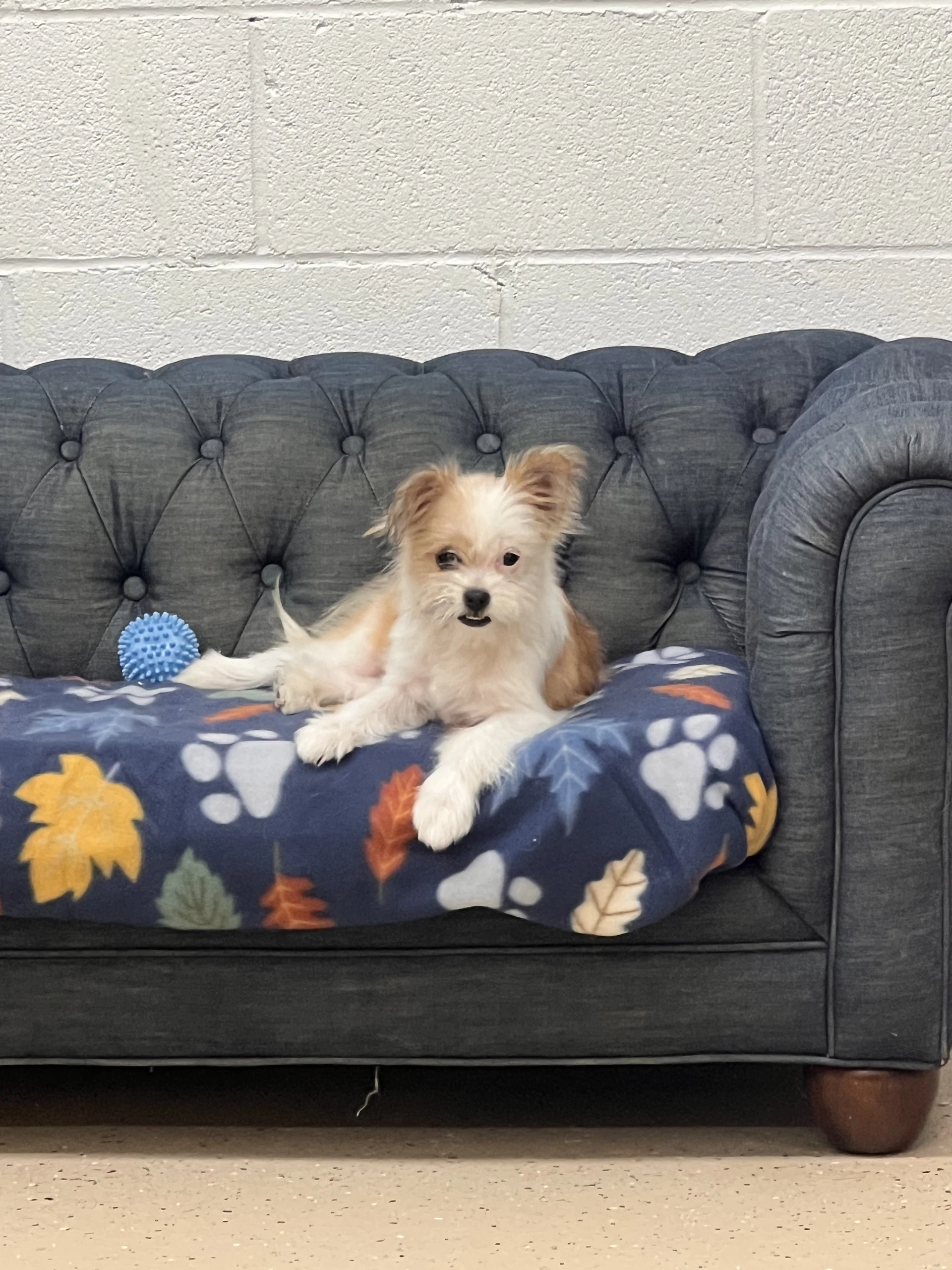 Maggie