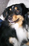 Duke
