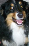 Duke