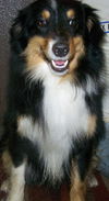 Duke