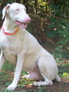 Gunther