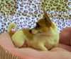 Little Zoey