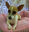 Little Zoey
