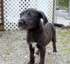 Zeek